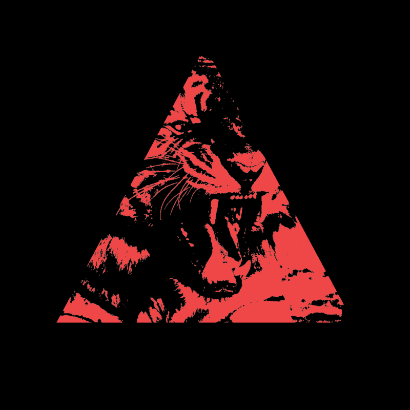 800px New Cover Tori BLK Music - The Fools Heart